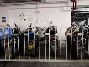 花果園停車場服務(wù)提升進(jìn)行時 分區(qū)停放、油電分離與導(dǎo)視優(yōu)化